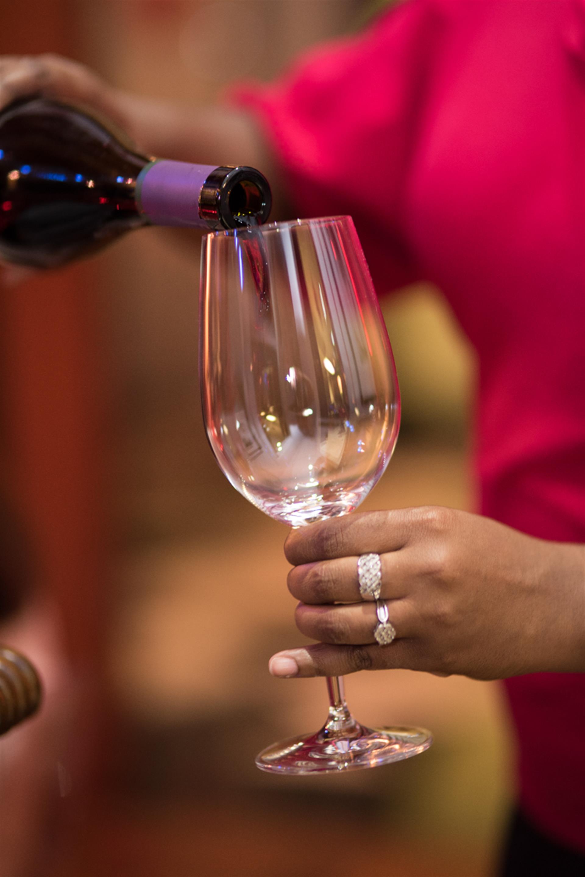 bardins patron dinner 8 of 18