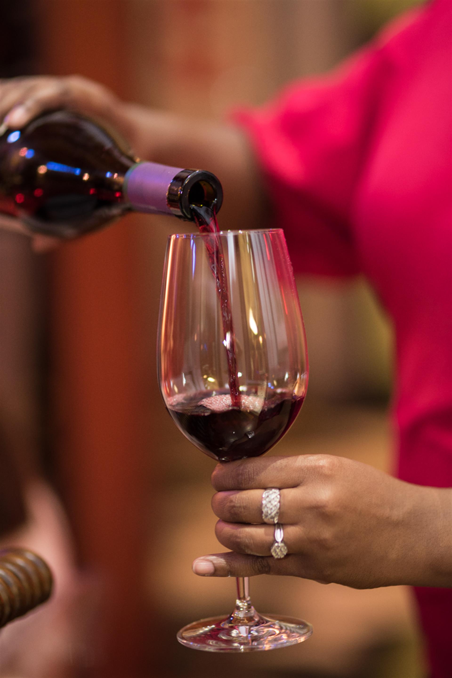 bardins patron dinner 9 of 18