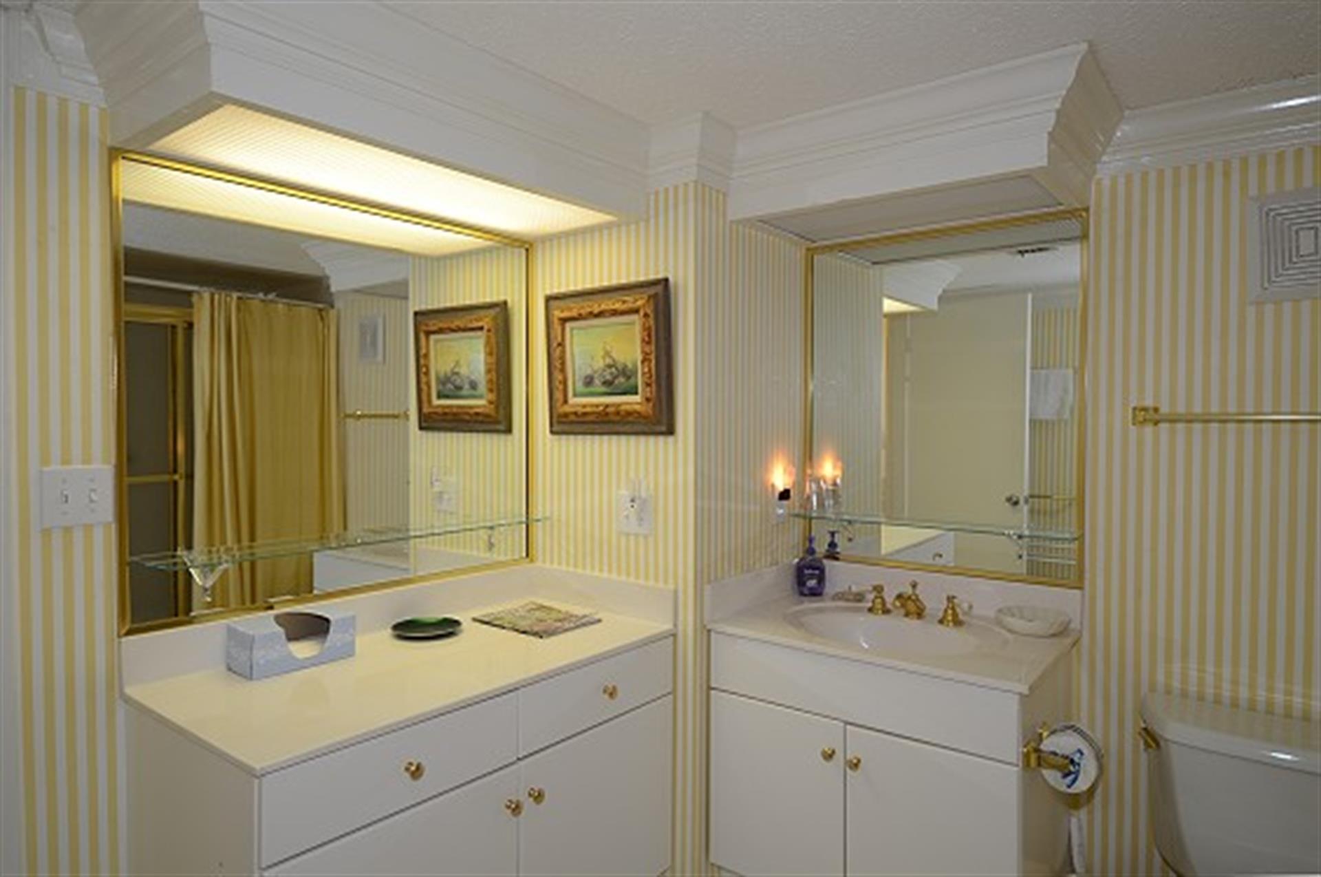 Guest bathroom View 2