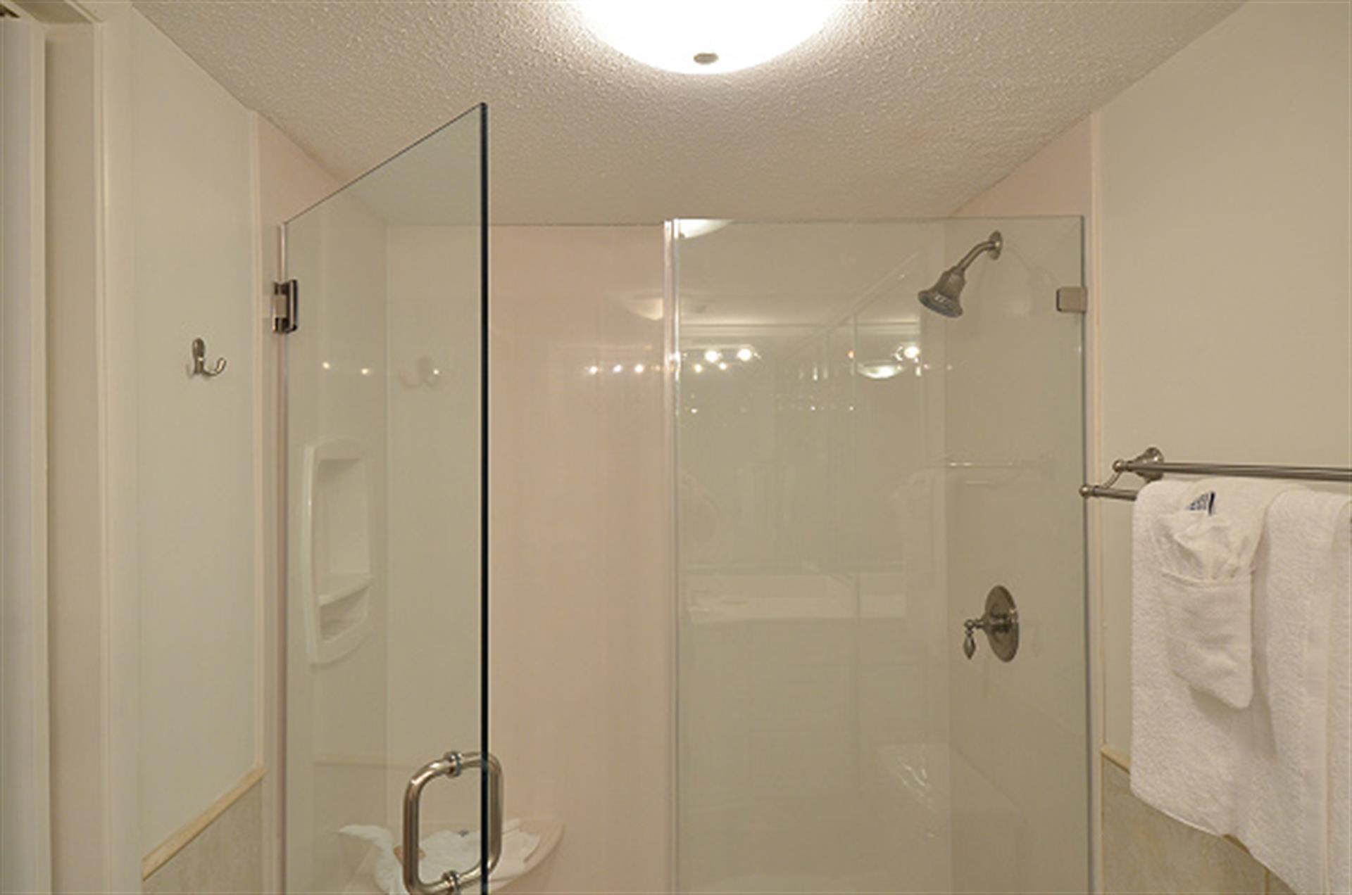Master Bathroom Shower