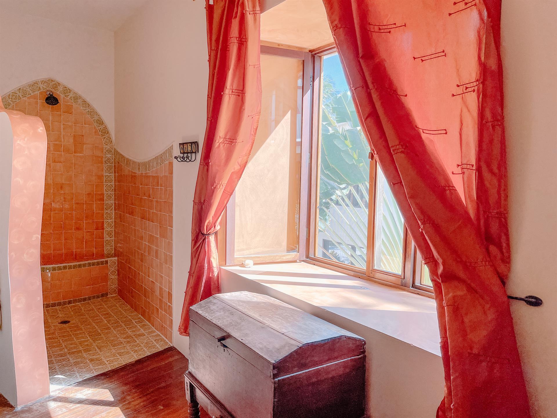 Master shower and window