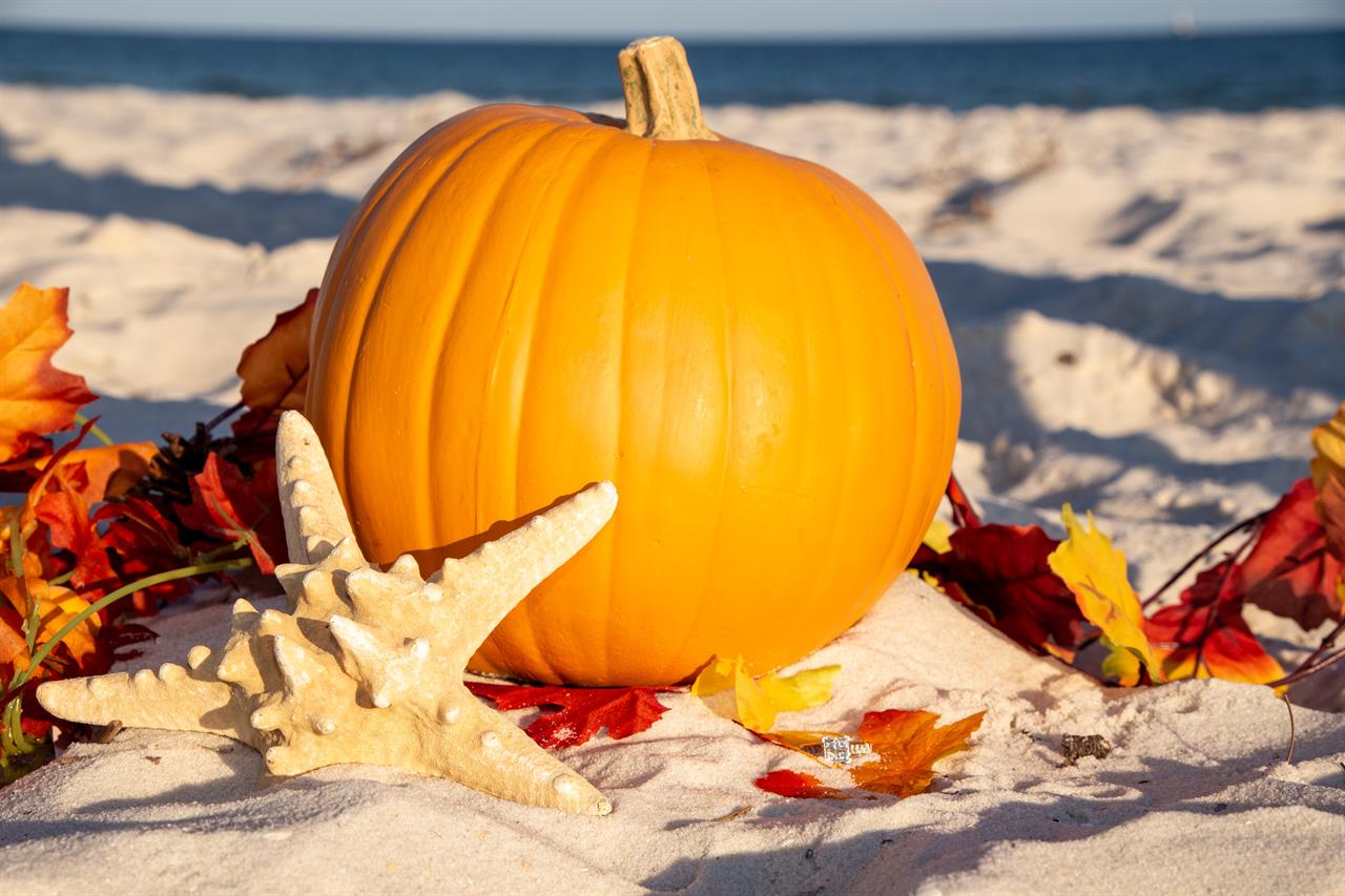 Spend Thanksgiving Day in Destin Florida this Year - Destin Vacation  Rentals Blog