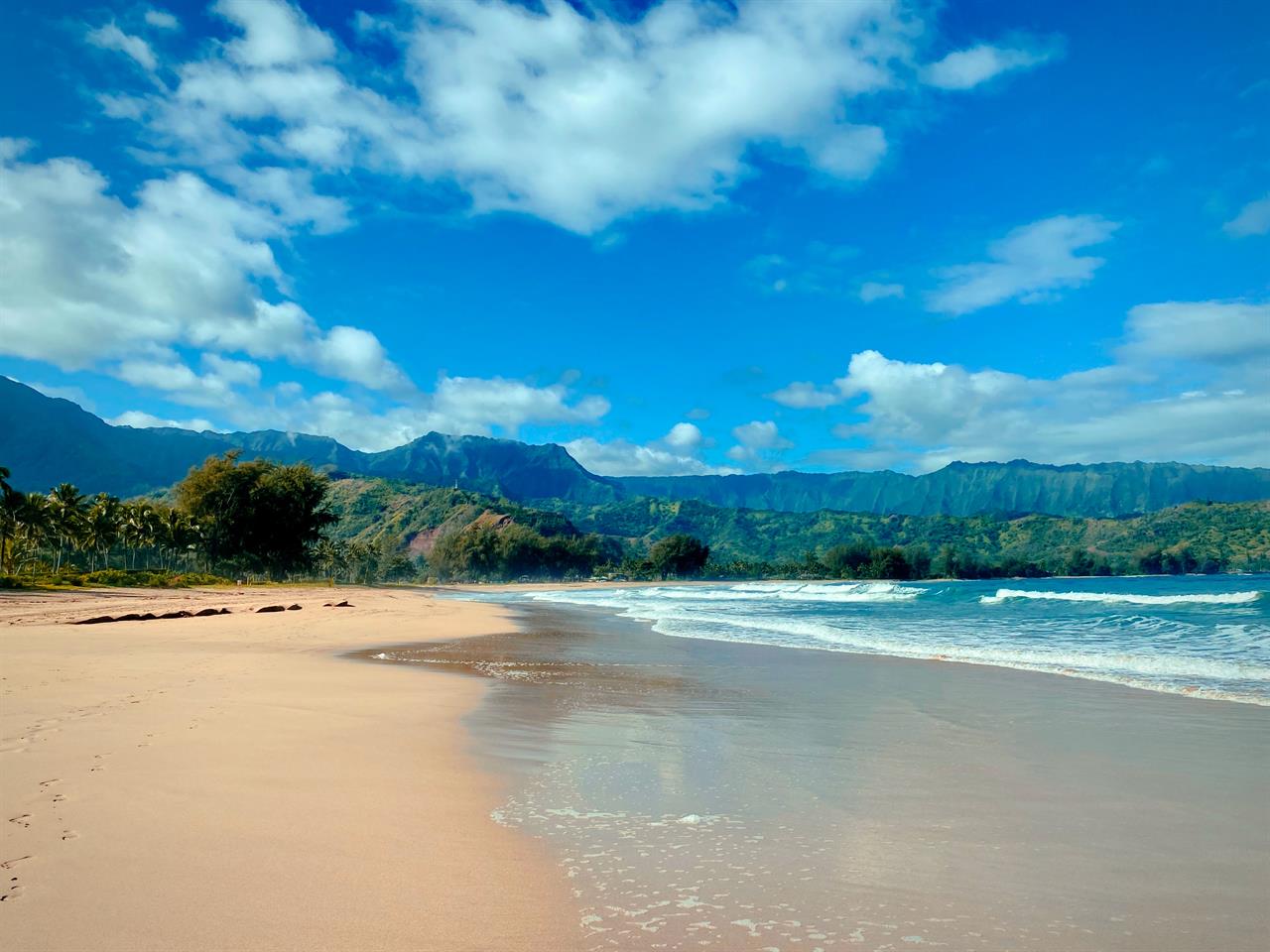 Pure Kauai: In The News - August 2024