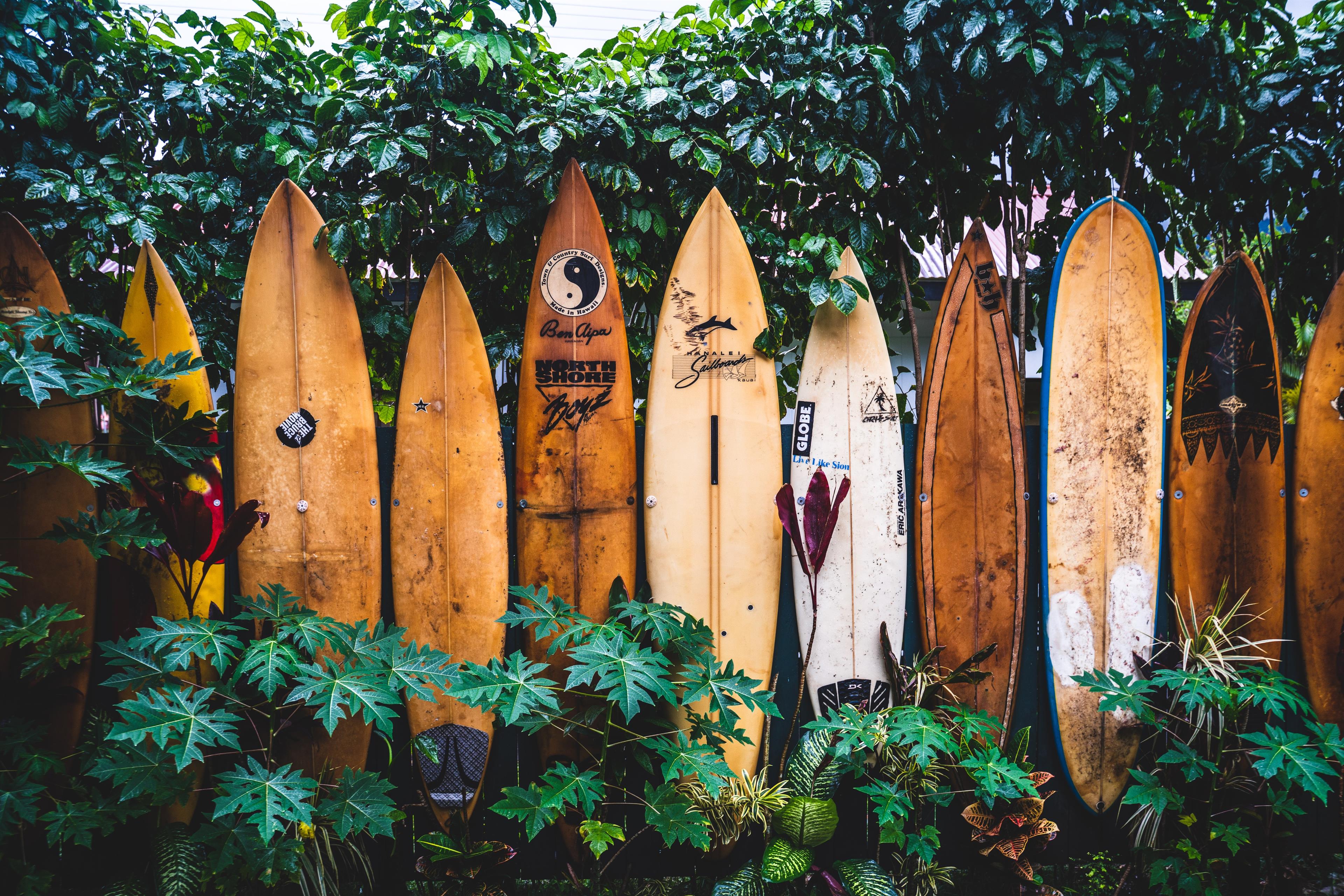 Planning a surfing trip? Find out when, where to catch the best waves