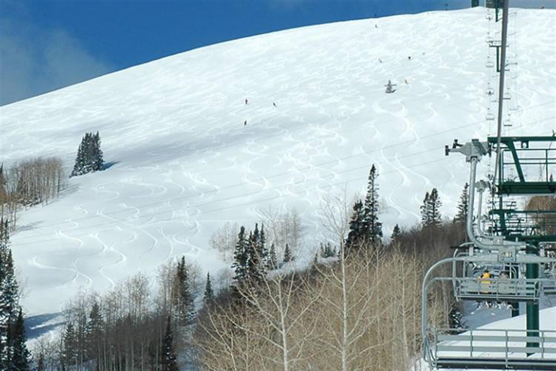 header_dvwinter header_dvwinter