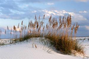 10865 Gulf State Park S