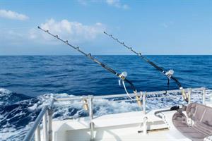 12622 Deep Sea Fishing Rods S