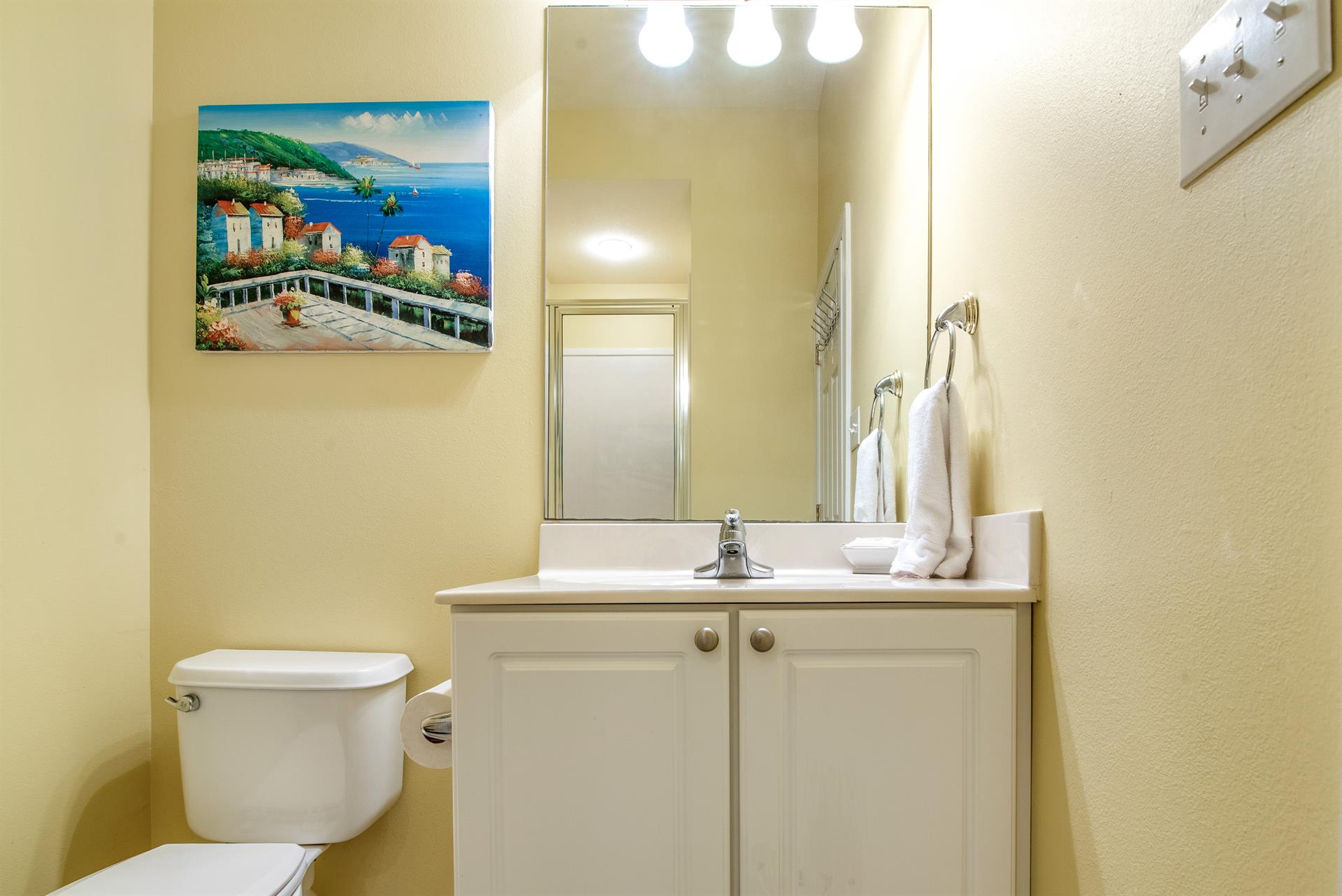 1st Floor Guest Bath