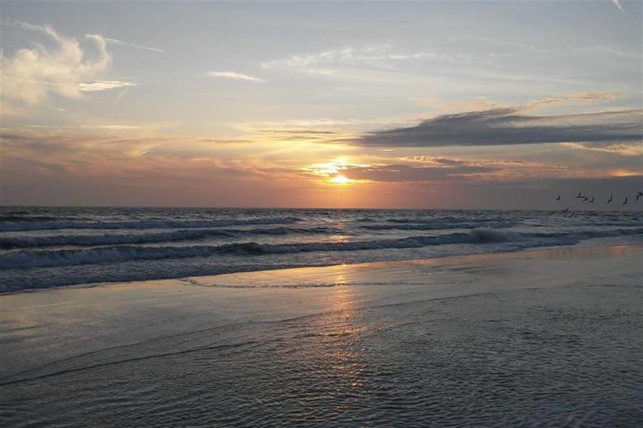 13124 Gulf1590949_1920 B