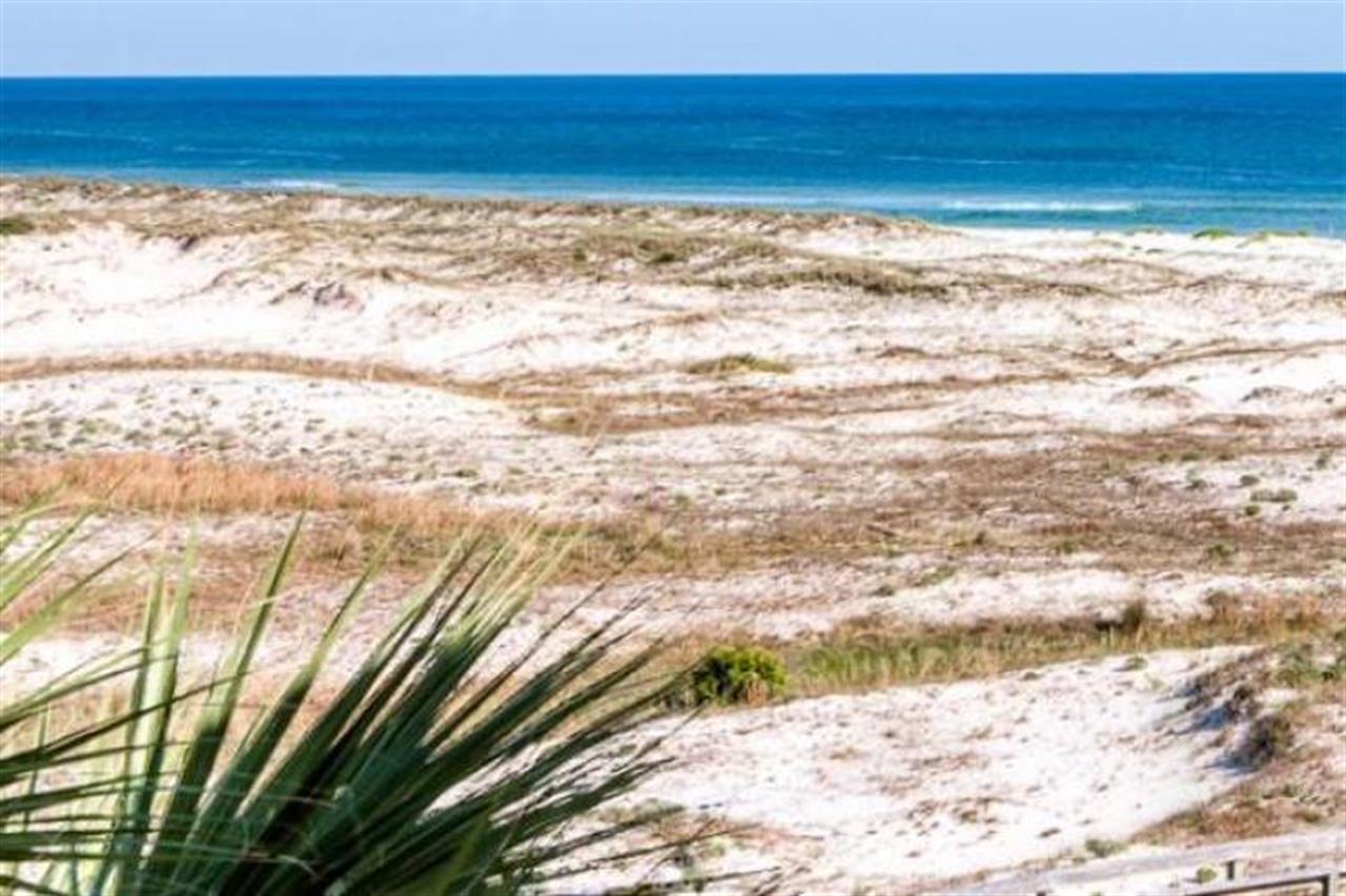 13131 Hmartiniquegulfshoresareaguide B