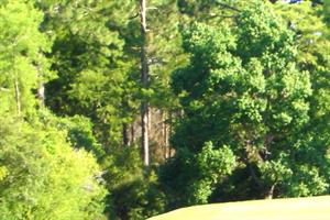 2110 Aquapcbrentalssecactivitiesgolf1 S