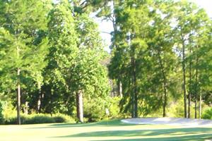 2112 Aquapcbrentalssecactivitiesgolf2 S