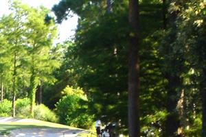 2114 Aquapcbrentalssecactivitiesgolf3 S