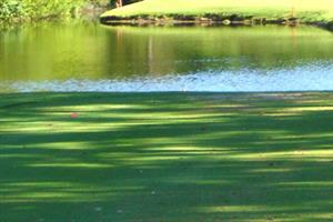 2116 Aquapcbrentalssecactivitiesgolf4 S