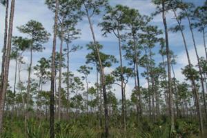 2162 Aquapcbrentalssecpcbecofinastatepark S