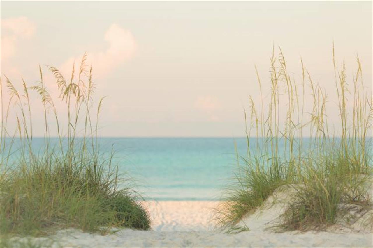 2183 Looking Out To Beach B