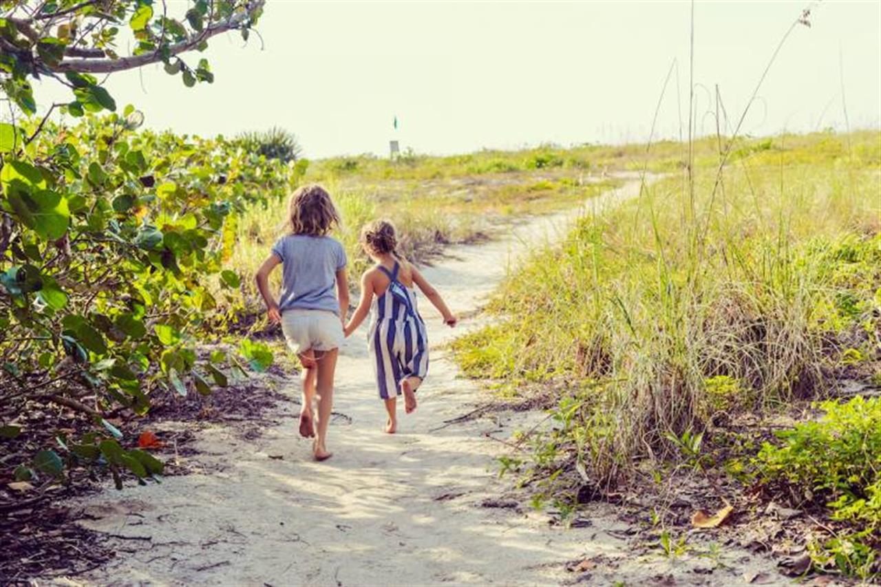 2206 Coastal Dunes Landscape B