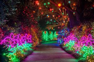 251718 Christmas In Lights S