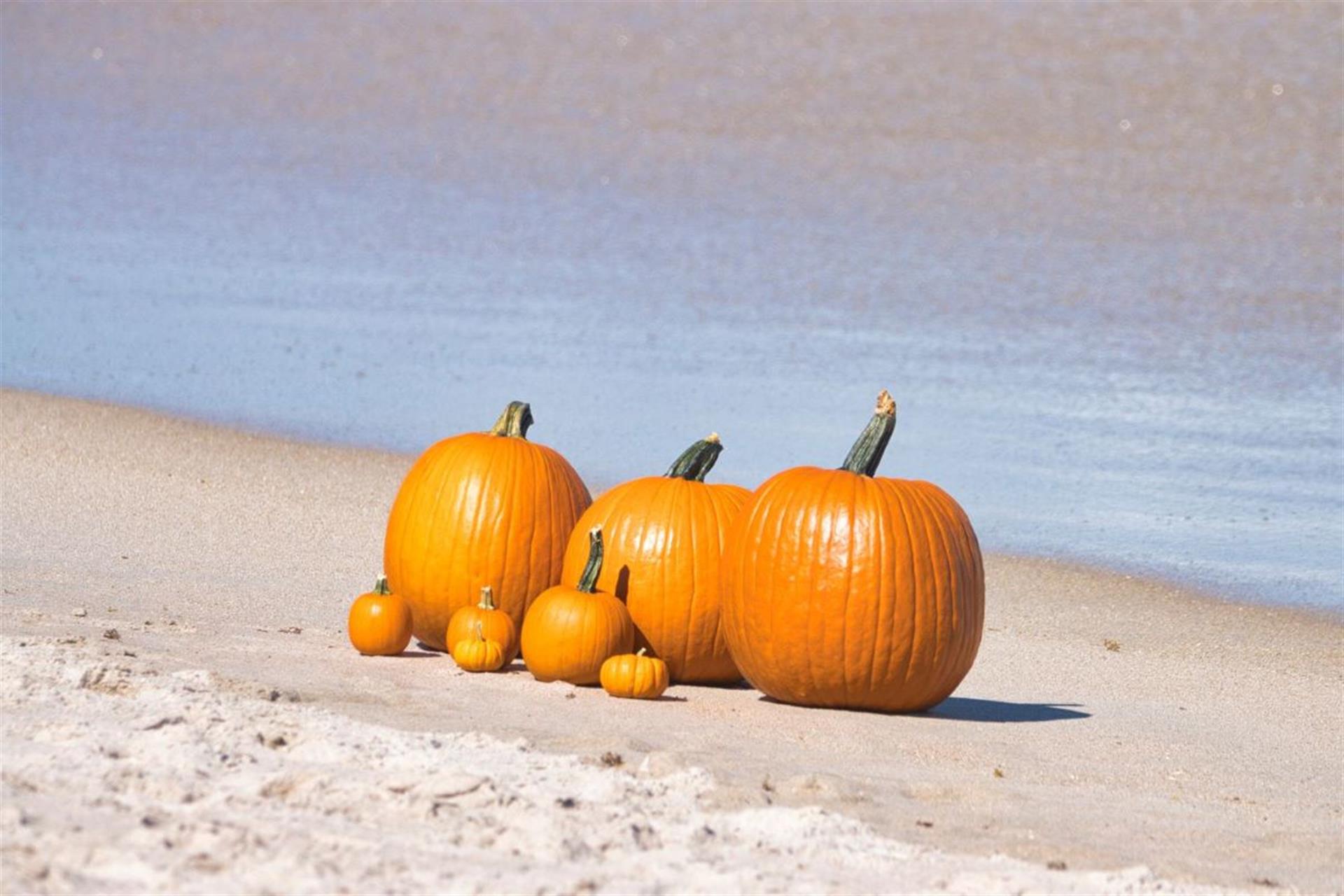 Pumpkins on beach small