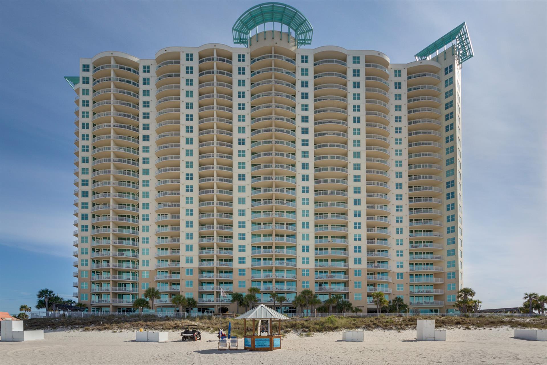 Back View of Aqua