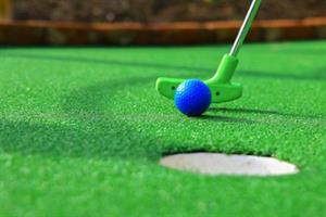 2869 Mini Golf Course S