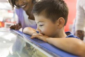 3029 Science Museum S