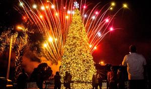 335349 Pcb Holidays S