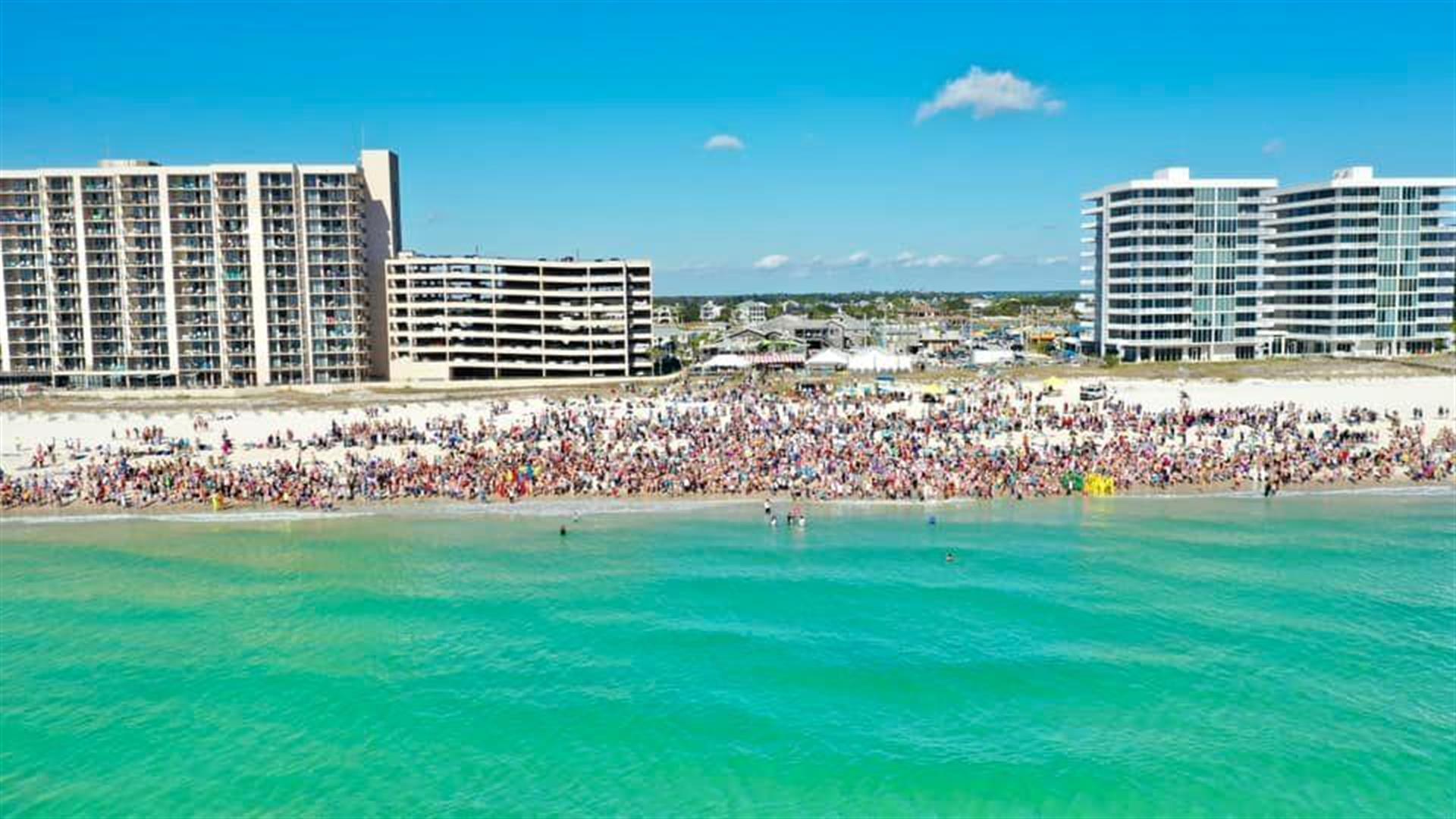 FloraBamaPloarBearDip FloraBamaPloarBearDip