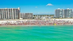 341793 Florabama Ploar Bear Dip S