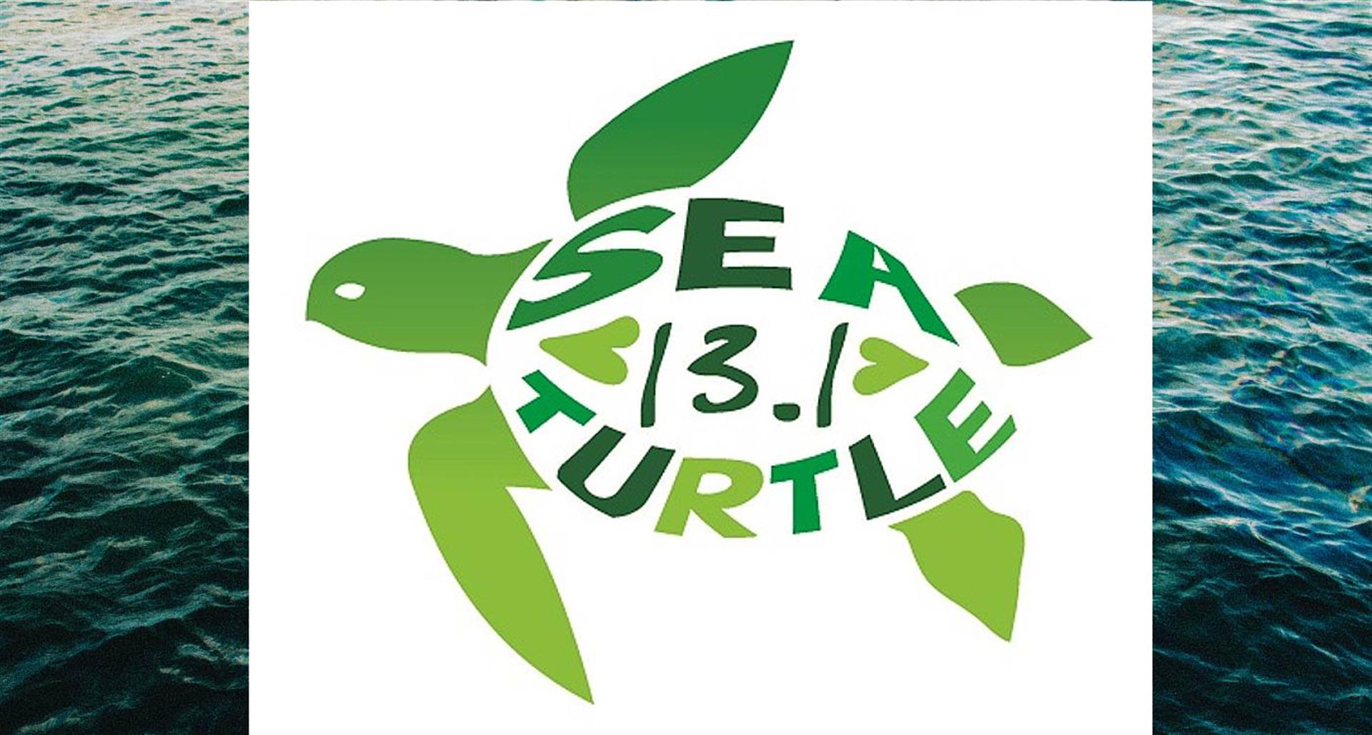 SeaTurtleMarathon