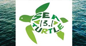 348920 Sea Turtle Marathon S