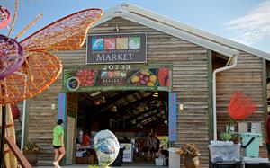 374208 Corn Festival S