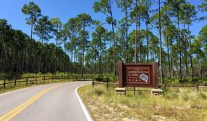 395688 Park Pcb S