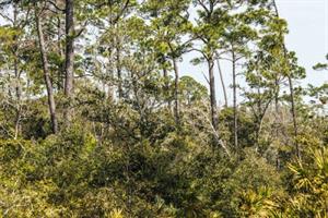 7237 Alabama Traills S