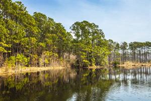 7241 Grahamcreekpreservefoleyal S