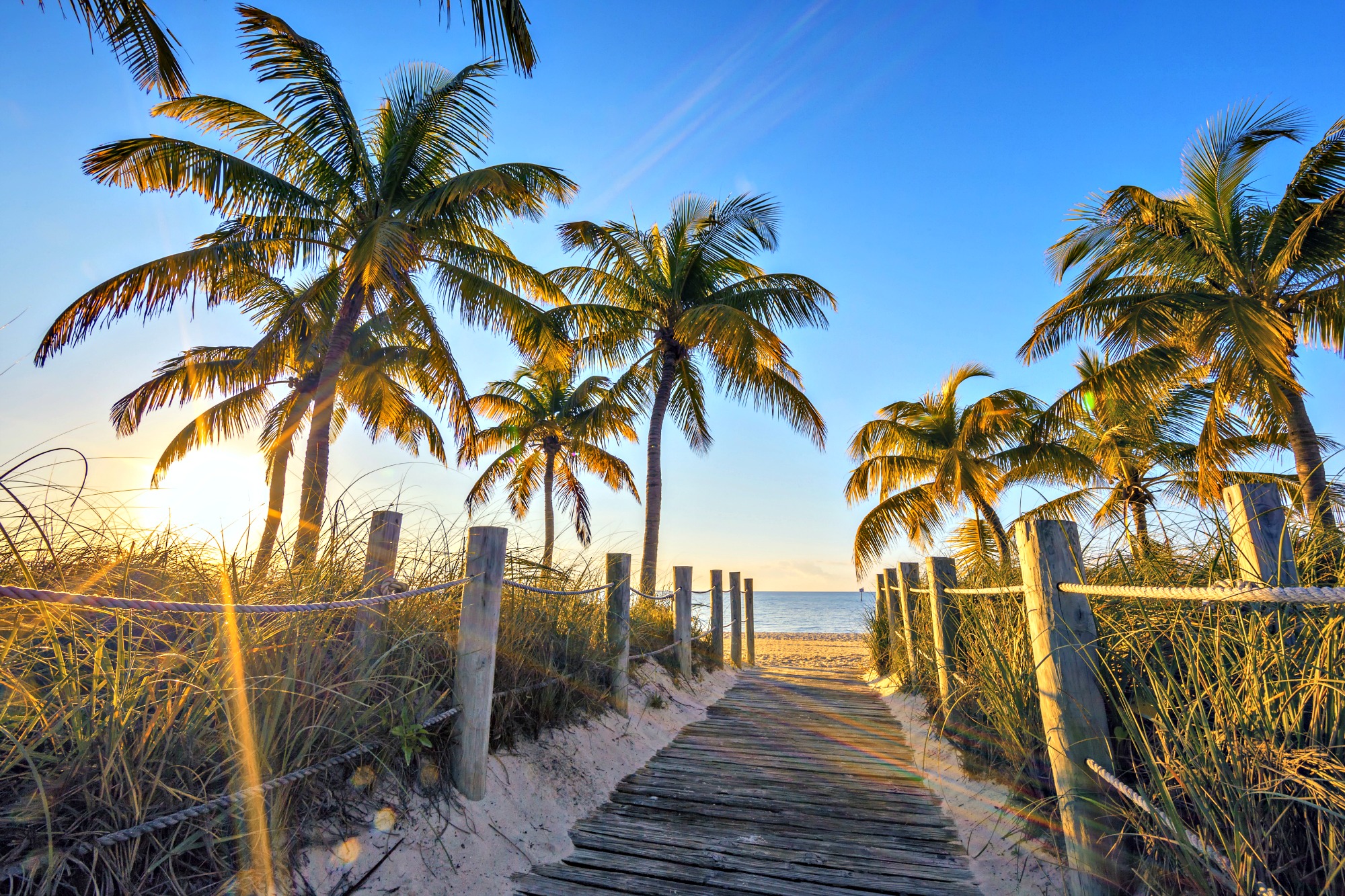 Palm-lined walkway to the beach at Key West, site of 2017 Hemingway Days