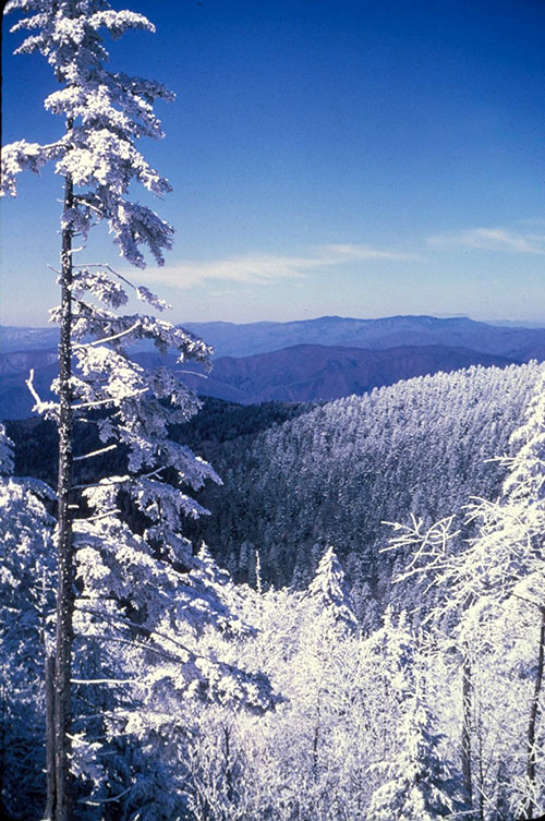 This image has an empty alt attribute; its file name is snowy-smokies-1.jpg