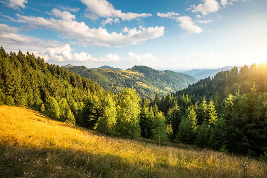 View of the mountains