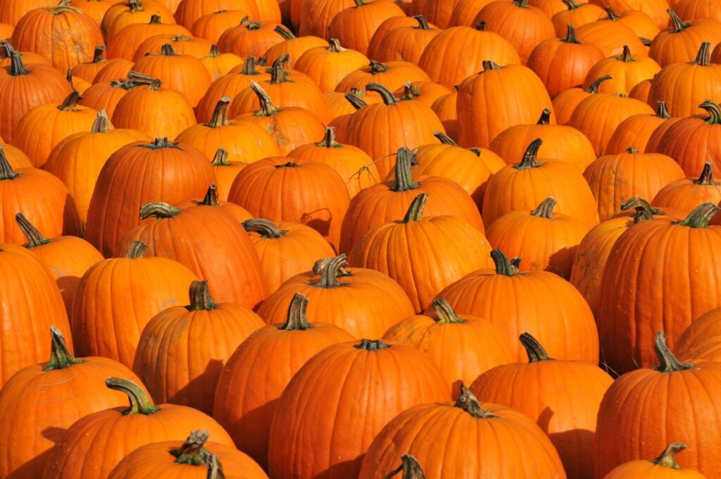 Pumpkins