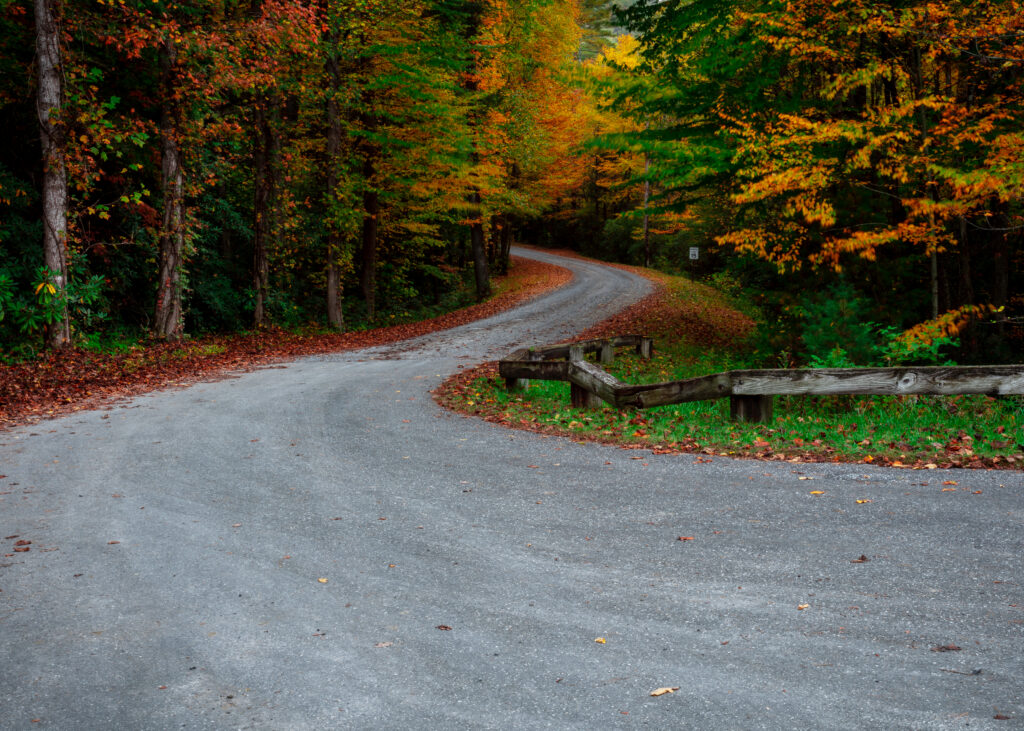 Curvy Road