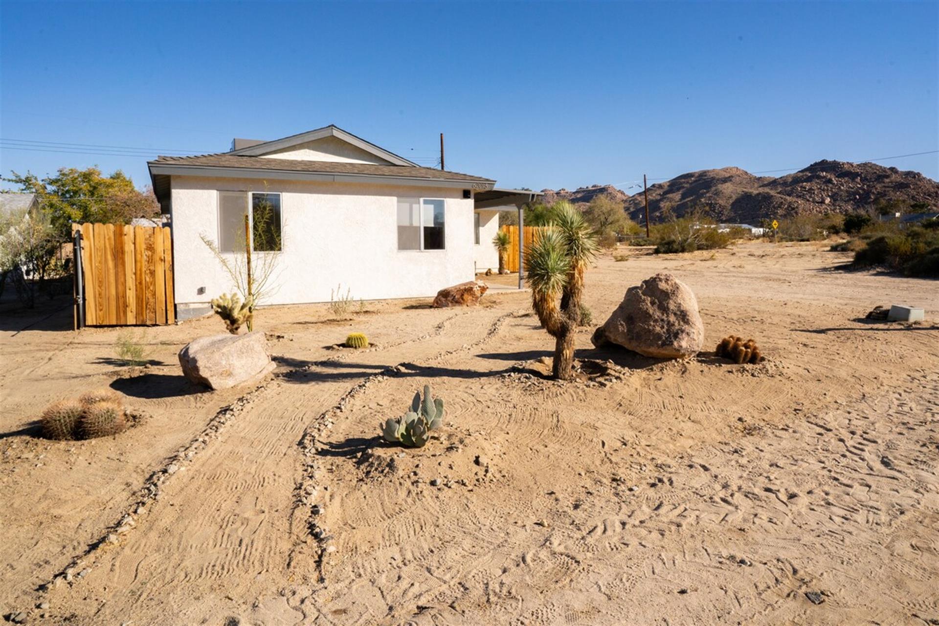 You might spot cottontail rabbits, quail, desert iguanas, cactus wrens, and even roadrunners in our front yard.