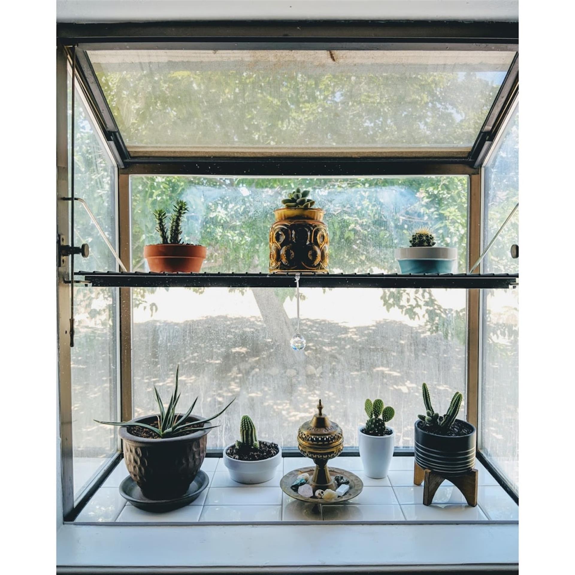Kitchen sink window atrium.