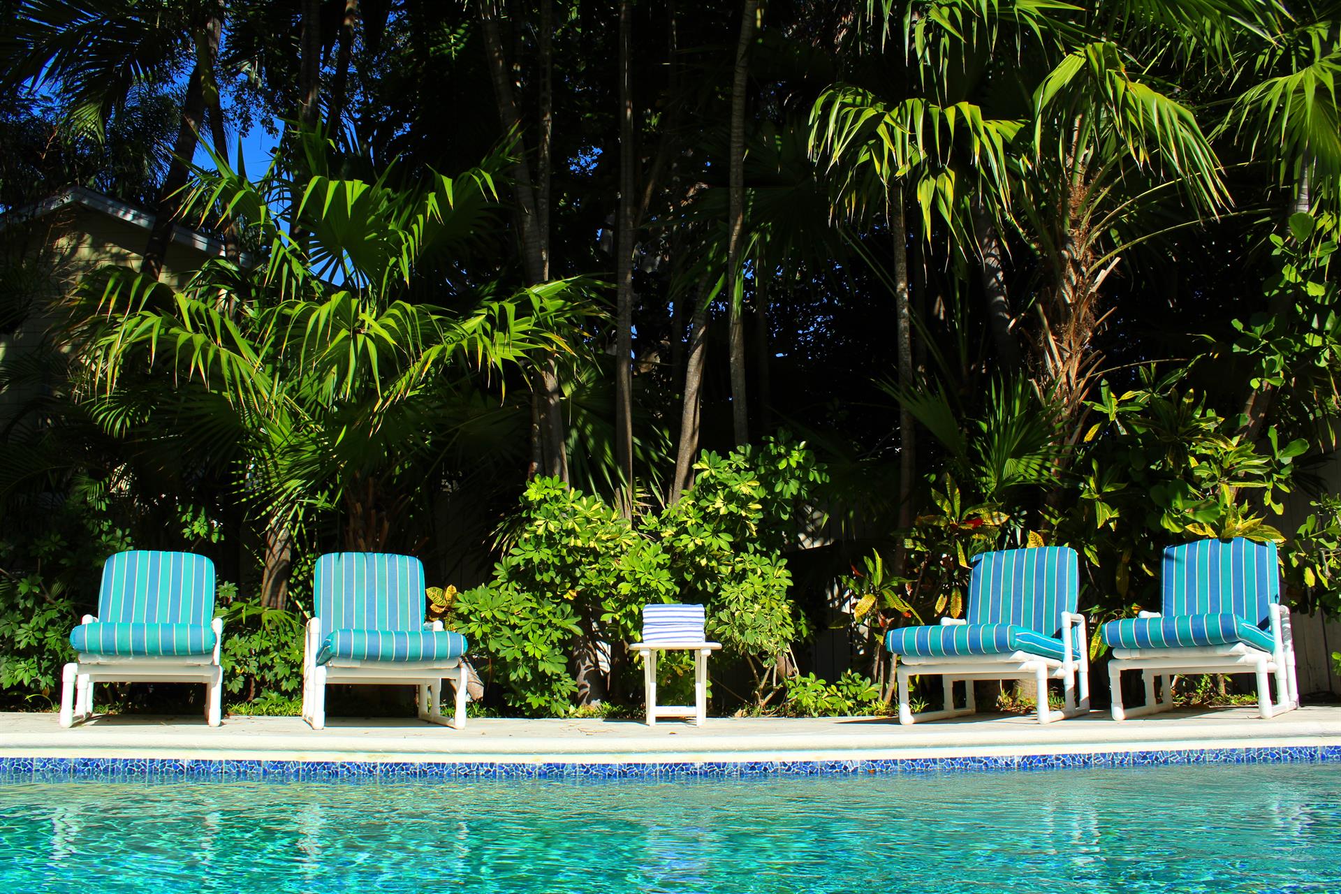 More sparkly Florida sun, please