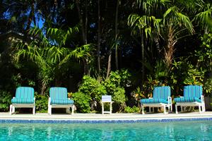 More sparkly Florida sun, please