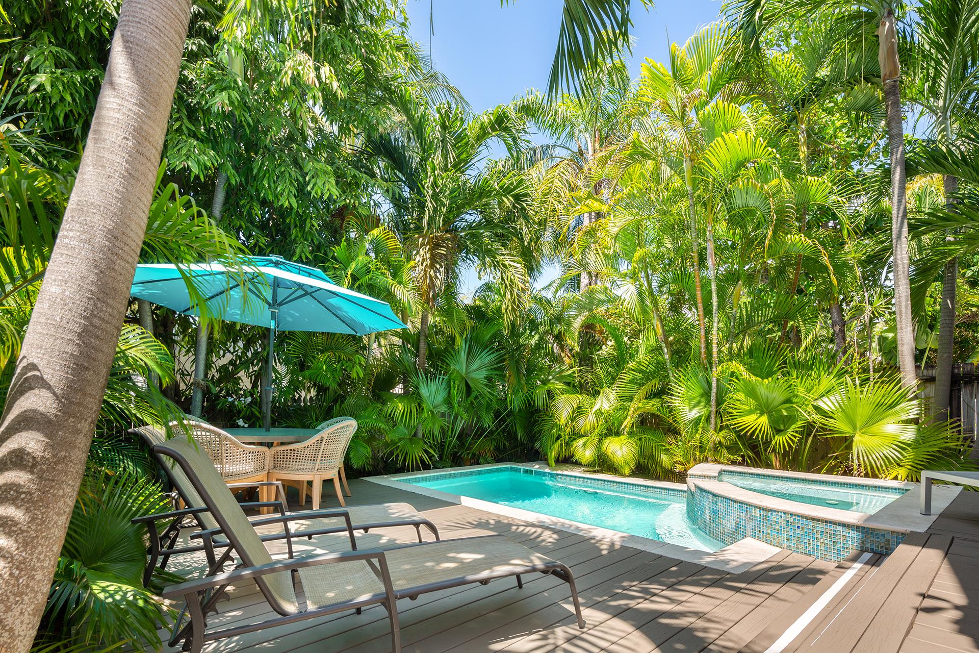 What a lush tropical paradise