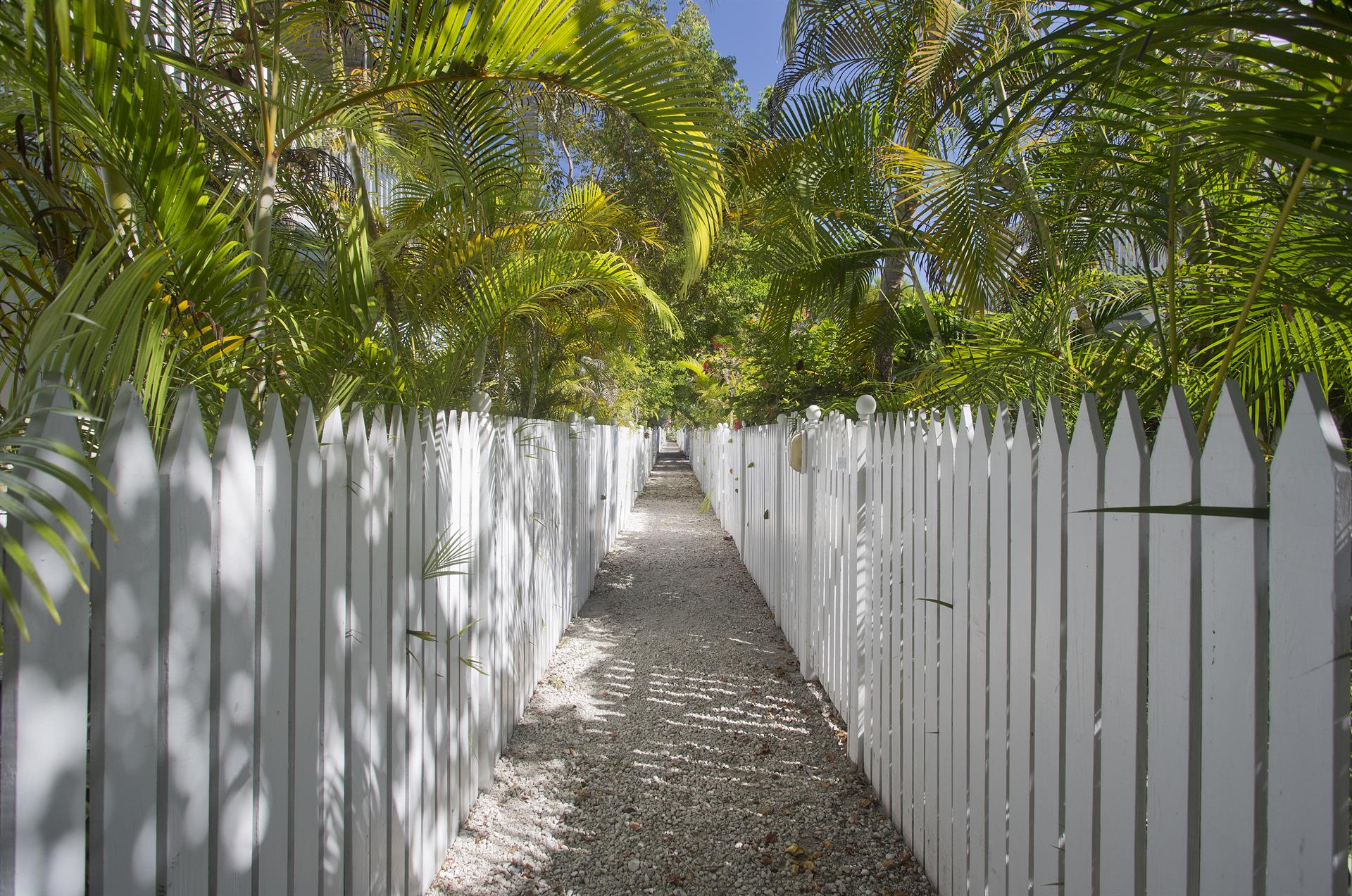 Walkway to back of condo. Front entrance is on Southard St.
