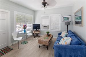 Downstairs living room with TV, window AC and ceiling fan.