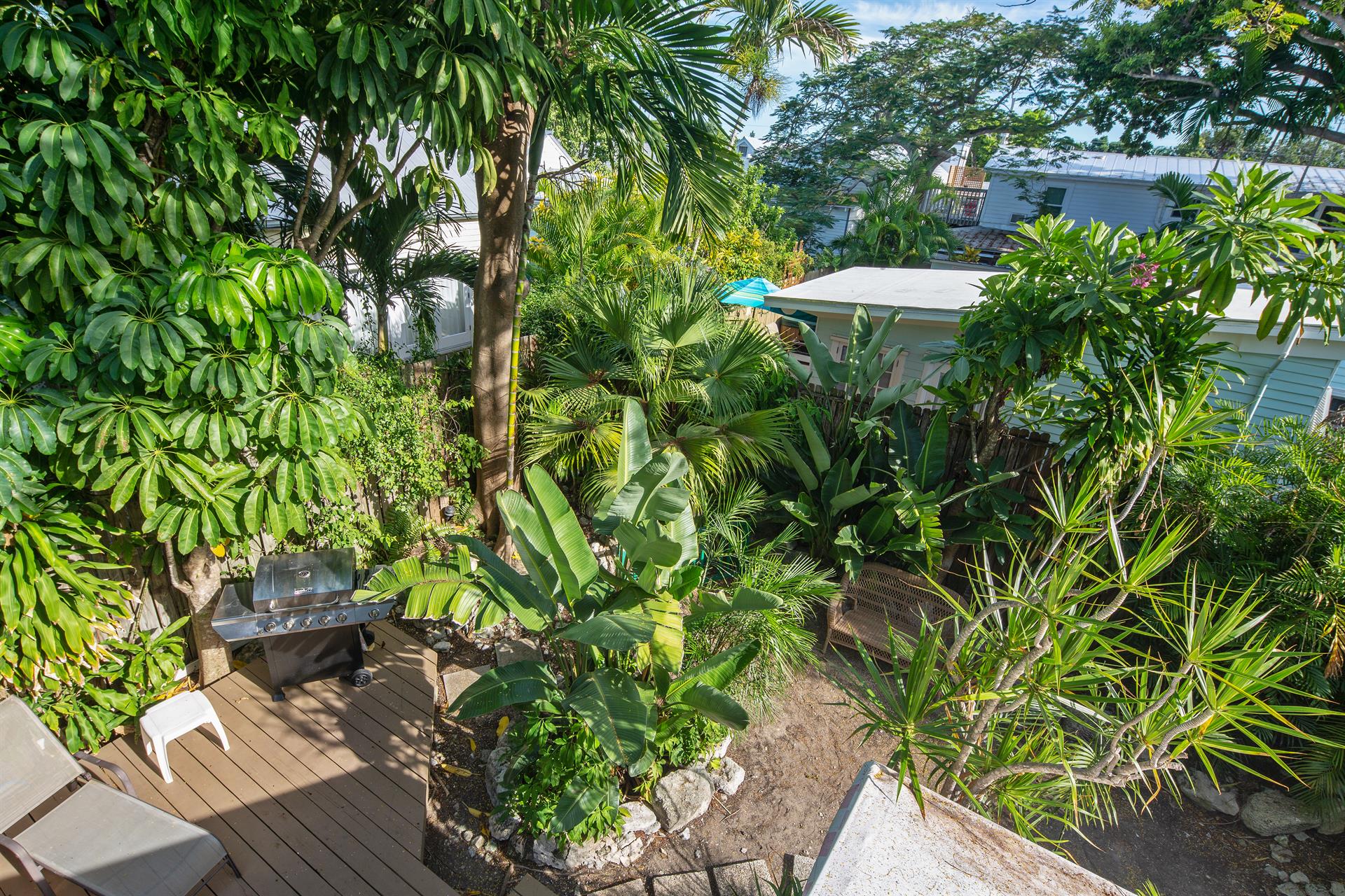 A view from above of the lush shared gardens of Poinciana.