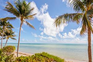 Imagine this view everyday