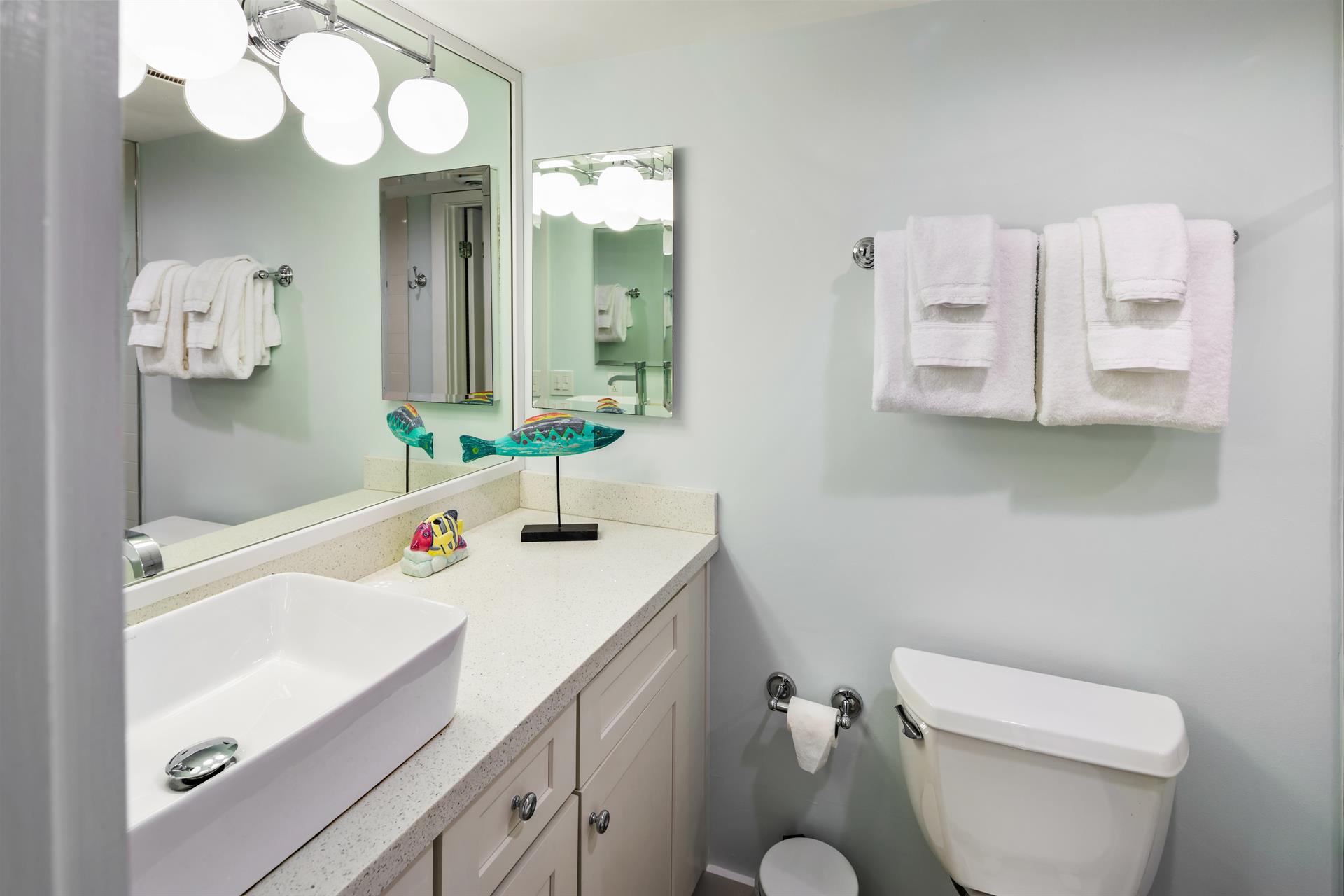 Vessel sink in guest ensuite.